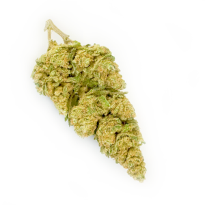 Skywalker (Indoor)